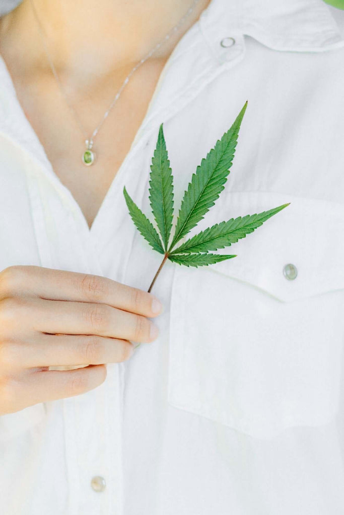 Die synergistischen Vorteile von Full-Spectrum CBD Basel