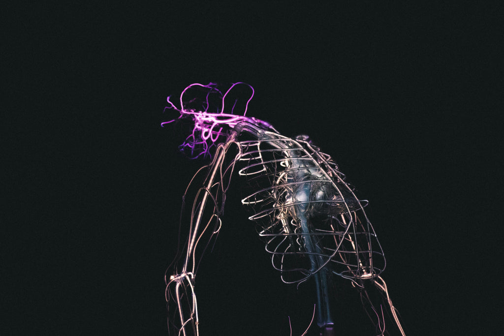 CBD bei Nervenschmerzen / Neuropathie