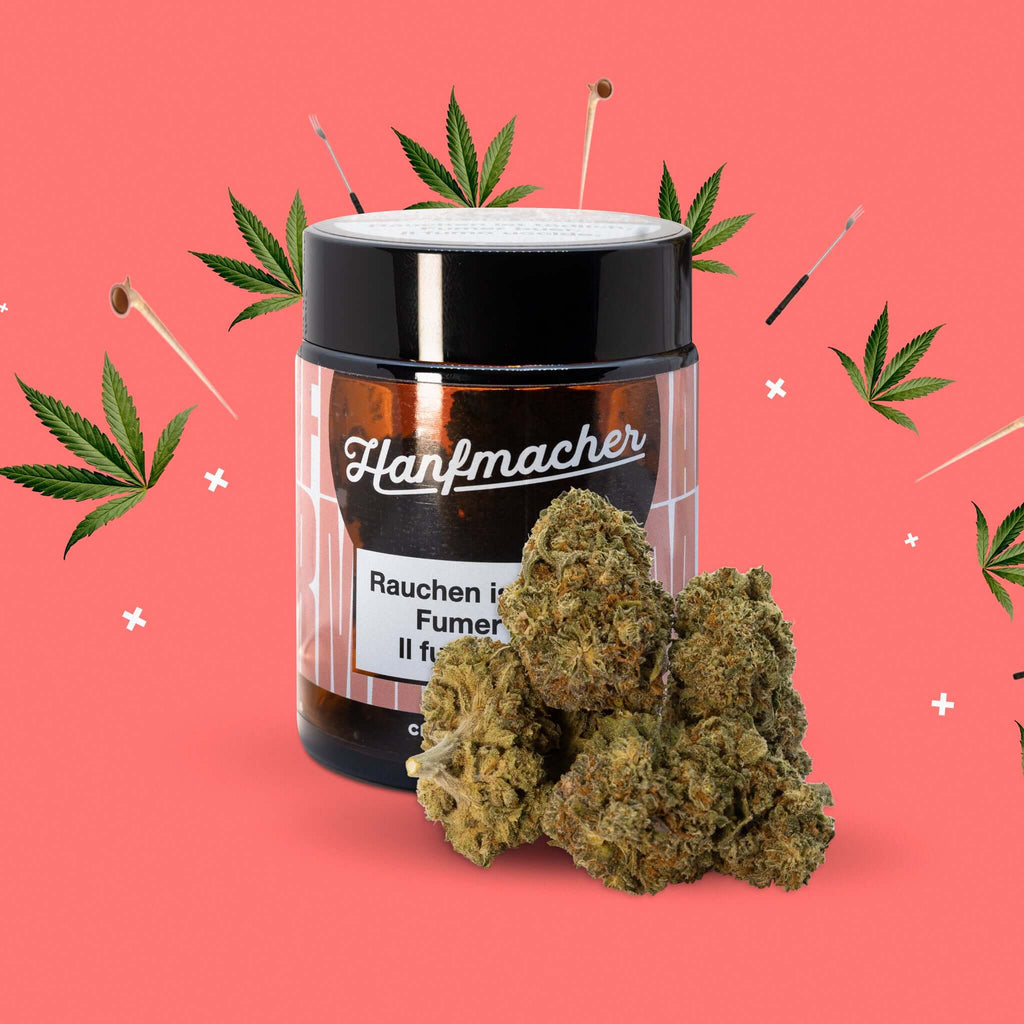 Clear CBD Blüten 5gm product |CBD Blüten|CBD Bloom